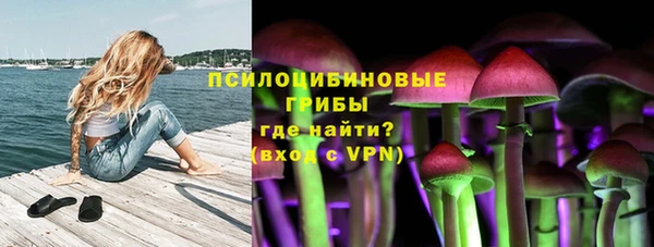 ГАЛЛЮЦИНОГЕННЫЕ ГРИБЫ Алексин