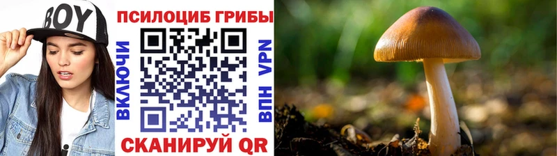 мега вход  Междуреченск  Галлюциногенные грибы мухоморы 