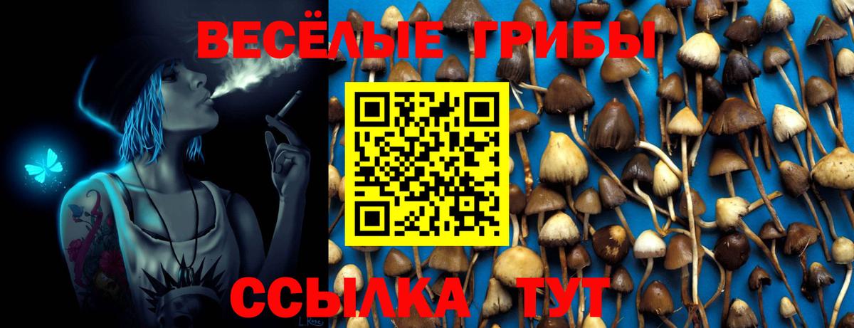 Псилоцибиновые грибы Cubensis  Псилоцибиновые грибы Magic Shrooms  Вход с VPN  Междуреченск 